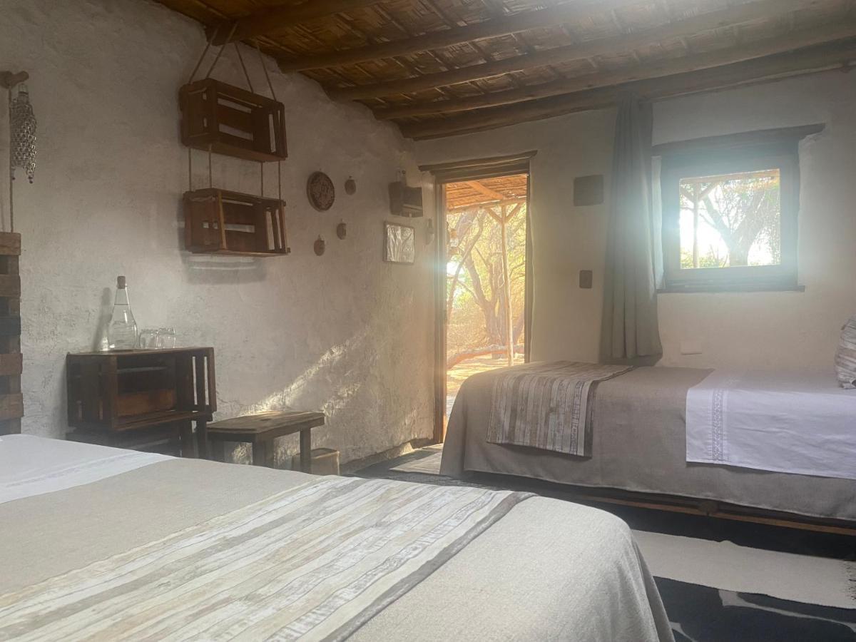 El Huarango Eco Retreat La Huaica