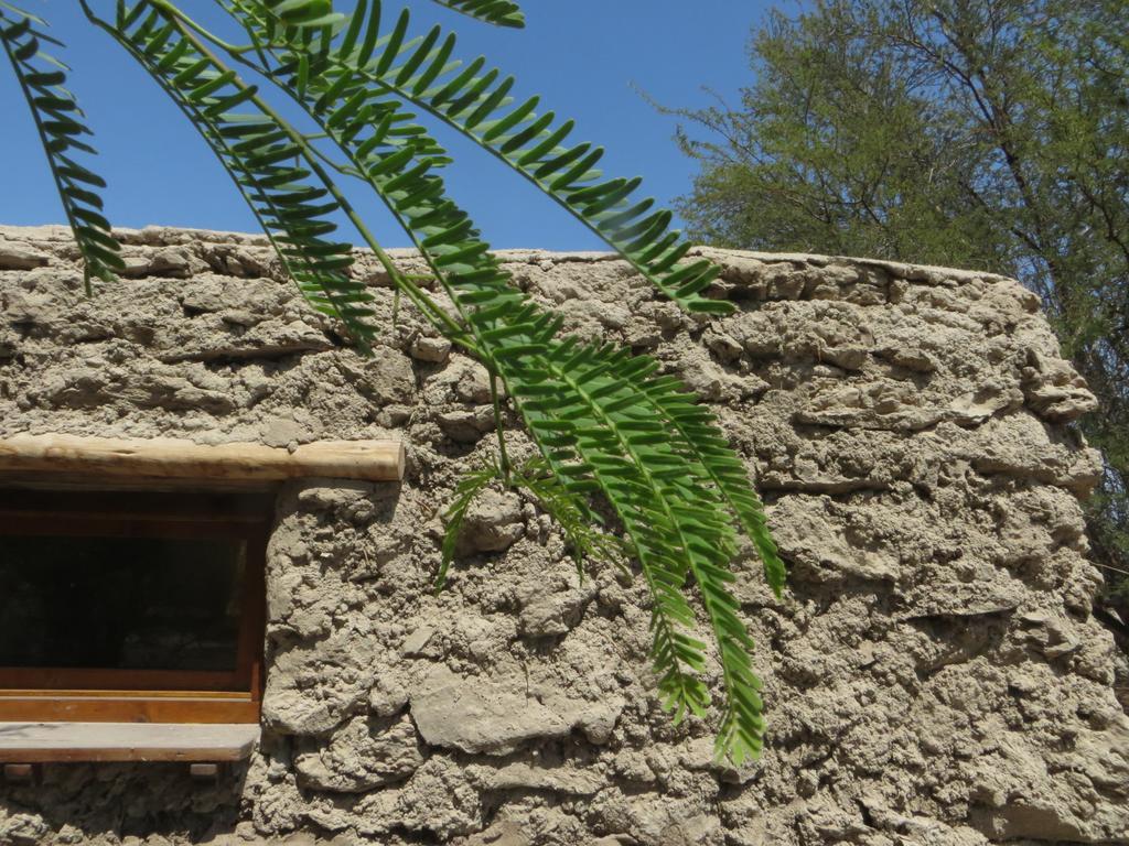 El Huarango Eco Retreat La Huaica